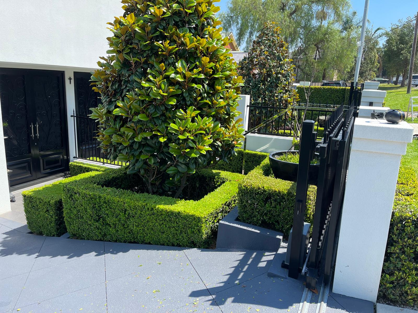 An immaculate landscaped backyard